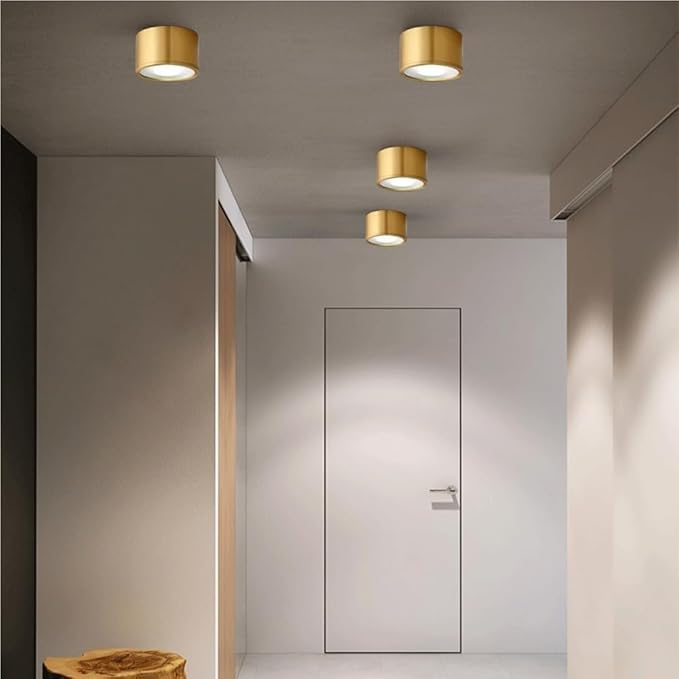 Modern Brass LED Ceiling Light Nordic Indoor Ceiling Lamp Cylindrical Shape Flush Mount Ceiling Lamp for Bedroom Hallway Kitchen Entryway(Large)