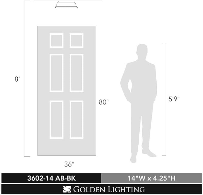 Golden Lighting 3602-14 AB-BK Duncan Flush Mount, Aged Brass with Black Shade