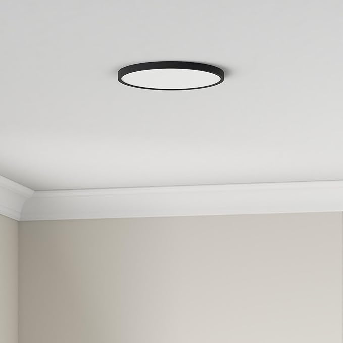 TALOYA 2 Pack of Black 10 Inch LED Ceiling Light Fixture Flush Mount for Closet Porch, 5 CCT Options, Energy Efficient Ceiling Fixture 20W Equivs to 120W Traditional Lamp Perfect for Low Ceiling