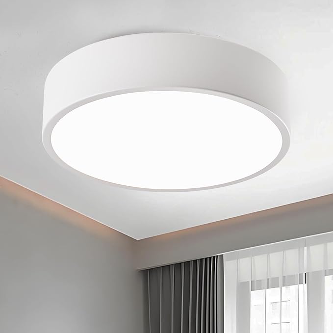 Modern Flush Mount Ceiling Light, 2-Lights Round White Ceiling Light Fixtures, Minimalistic Ceiling Lamp Acrylic Shade Lighting Fixture for Bedroom Laundry Room Foyer Hallway(11.8")