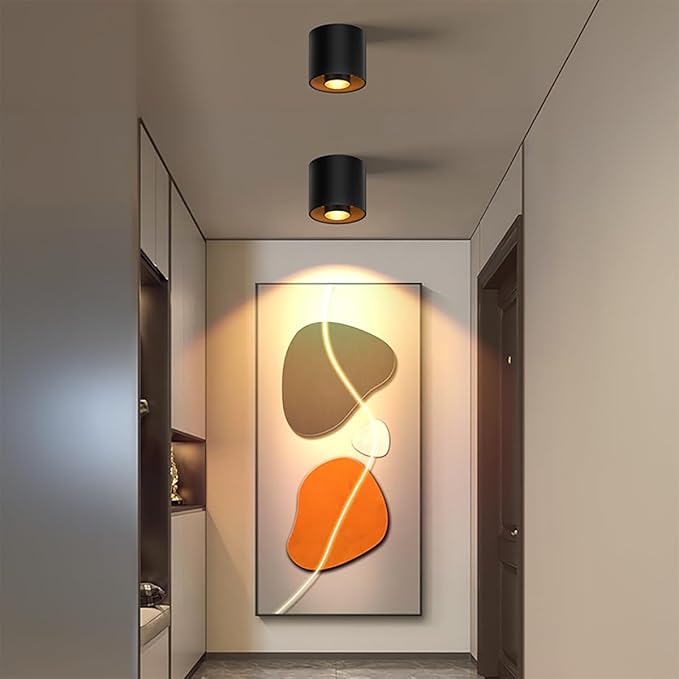 3-Color&Watt Zoomable Ceiling Spotlight Fixtures, Flush Mount Ceiling Light Fixture Dimmable LED Spot Lights Indoor, 4.72" Cylinder Light for Hallway Kitchen Entryway, 30W Black 2 Pack