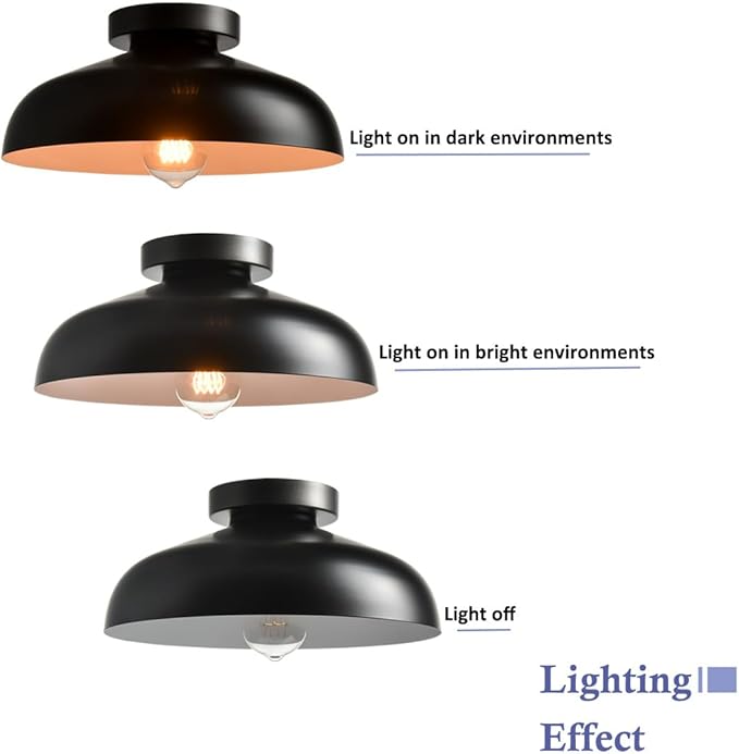 DIRYZON 12-Inch Industrial Ceiling Light Fixture,Black Bedroom Ceiling Light,Metal Ceiling Lighting for Hallway Kitchen