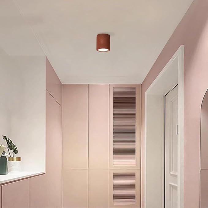 KISAD Close to Ceiling Lights Nordic Resin Ceiling Light Mini Flush Mount Ceiling Lamp Cream Style Hallway Lighting Fixture Minimalism Ceiling Downlight(Red)