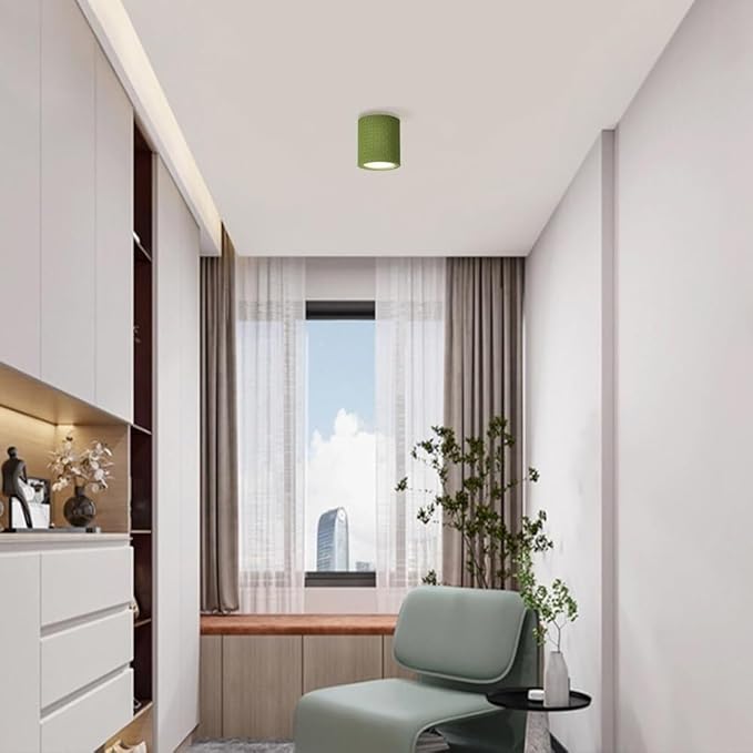 KISAD Close to Ceiling Lights Nordic Resin Ceiling Light Mini Flush Mount Ceiling Lamp Cream Style Hallway Lighting Fixture Minimalism Ceiling Downlight(Green)