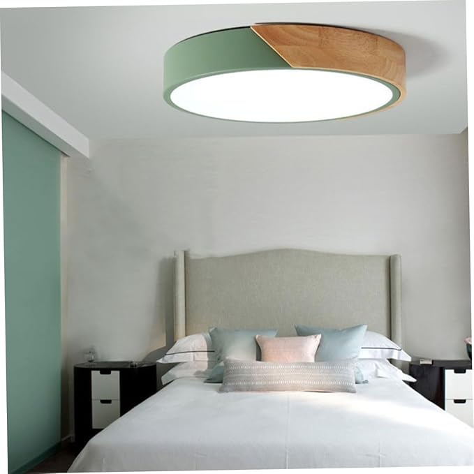 TEHAUX 1pc Modern Minimalist Ceiling Lamp Simple Decorative Light Fixture for Home and Restaurant Easy to Install for Bedroom Living Room and Hallway