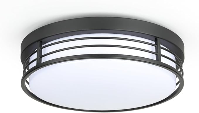 WISBEAM 10 Inch Matte Black Flush Mount Ceiling Light, 23W LED Ceiling Lighting Fixture with 5CCT(2700K/3000K/3500K/4000K/5000K), Dimmable LED Light Fixtures Ceiling Mount for Kitchen Bathroom Hallway