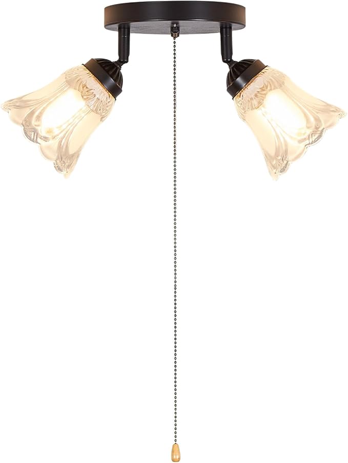 2-Light Flush Mount Ceiling Light with Pull Chain Clear and Frosted Glass Low Profile Lighting Fixtures for Kitchen Living Room Dining Room Closet, Black