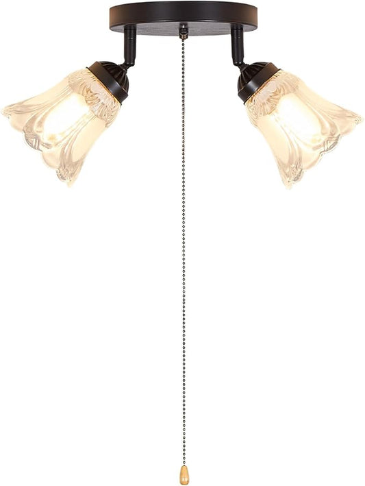 2-Light Flush Mount Ceiling Light with Pull Chain Clear and Frosted Glass Low Profile Lighting Fixtures for Kitchen Living Room Dining Room Closet, Black