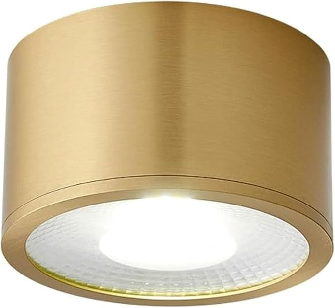 Modern Brass LED Ceiling Light Nordic Indoor Ceiling Lamp Cylindrical Shape Flush Mount Ceiling Lamp for Bedroom Hallway Kitchen Entryway(Large)
