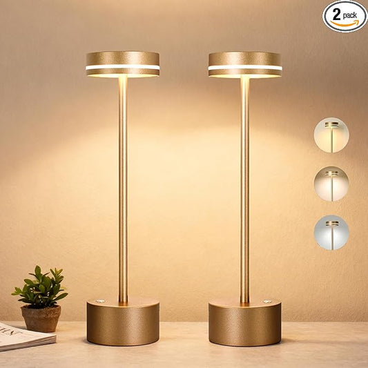 2 Pack Cordless Table Lamp Rechargeable, Touch Desk Lamp - 5000mAh Battery, 3 Color Dimmable Led Light, Small Portable Aluminum Light for Outdoor/Patio/Dining/Tabletop/Bar/Office, Home Decor