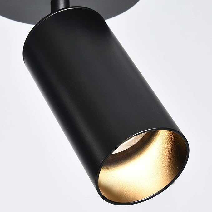 Black Ceiling Light, Gu10 Modern Ceiling Spotlight Angle Adjustment Downlight 2 Lights Wall Mount Lights for Living Room, Gallery, Cabinet, Hallway, Bedroom, Showrooms, Kitchen