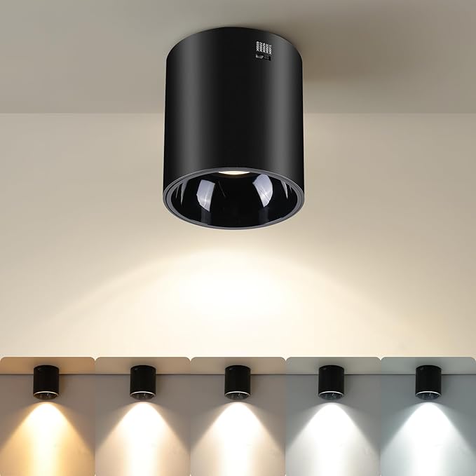 Ceiling Spot Lights Indoor 5-Color Dimmable Flush Mount Black Cylinder Down Light Modern LED Ceiling Light for Living Room Hallway Kitchen Dining Room Foyer