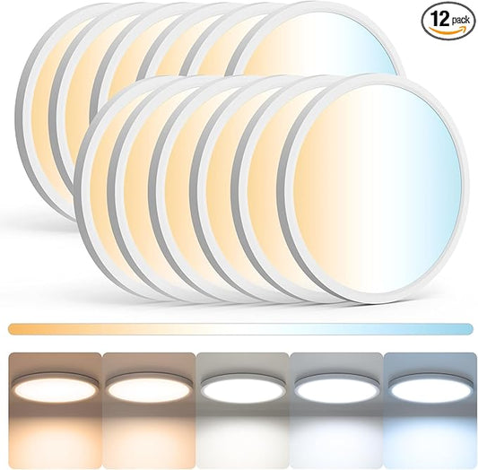 12Pack LED Flush Mount Ceiling Light,12inch 24W,2700K-6500K 5 Color Temperature Selectable Ceiling Lights, 3200LM Low Profile Ceiling Light for Bedroom Kitchen Hallway