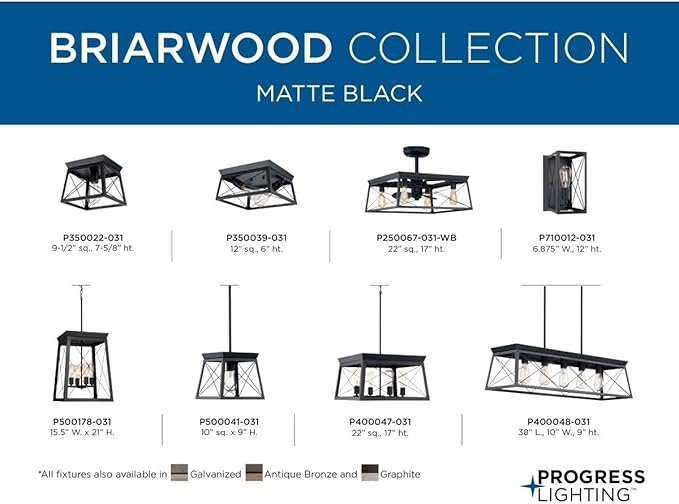 Progress Lighting Briarwood Collection 2-Light Ceiling Light, Flush Mount Ceiling Light Fixture for Interior Kitchen Lights, Hallway, Bedroom, Living Room, 12-Inch by 6-Inch, Textured Black