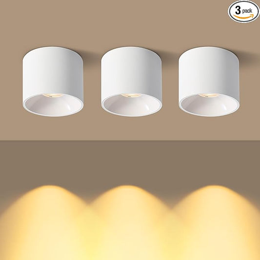 Flush Mount Dimmable Ceiling Light, Modern Close to Ceiling Light Fixtures for Hallway, Closet, 3CCT 2700K-6000K LED Ceiling Light Spot Lights for Living Room Kitchen Entryway Foyer, White, 3 Pack