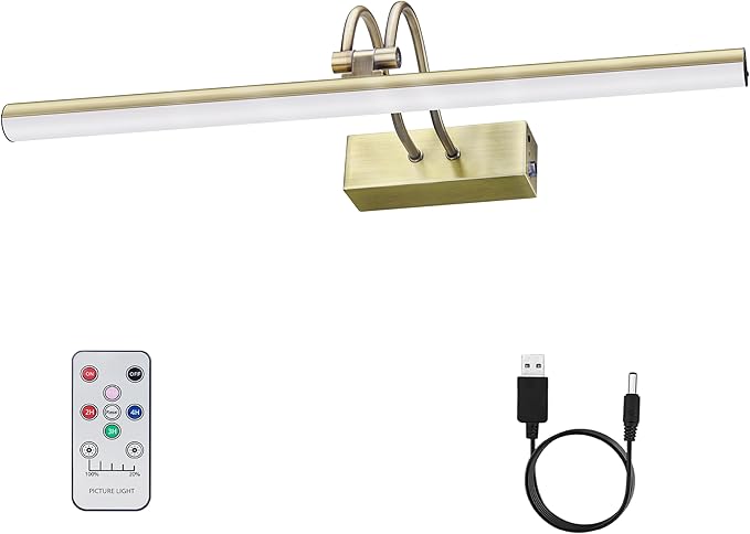 RAIFOOLLY Picture Light, Cordless Picture Lights for Wall,16inch Picture Lights with Timer and Dimmable, 5000mAh Battery Wall Lights for Display Gallery Painting Art Frame Portrait, Metal, AB