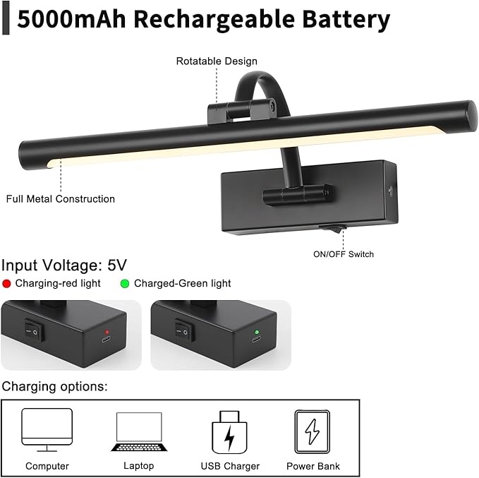 DESOOP Picture Lights Battery Operated with Remote and Dimmable Function, Rechargeable Gallery Light Black Art Light Wireless Painting Lights 16'' Inch for Display, Portrait, Artwork, Warm White