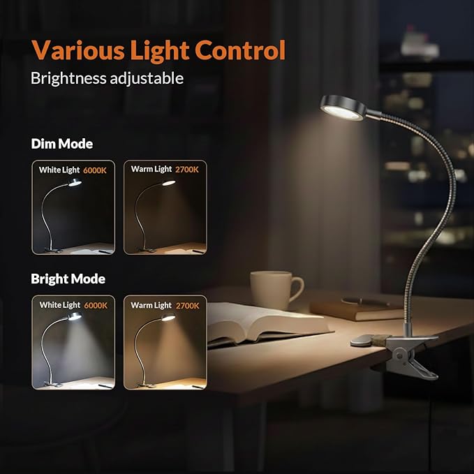 LEPOWER Clip on Light/Reading Light/Book Lights/Desk Lamp Color Changeable/Night Lights Clip on for Desk, Bed Headboard and Computers, Adapter Included, Silver