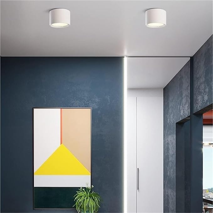 Round Ceiling Light Mid Century Modern Nordic Minimalist Downlight Small Close to Ceiling Lighting Fixture for Living Room Porch Balcony Aisle Corridor Home(White-8CM,White Light -6000k)