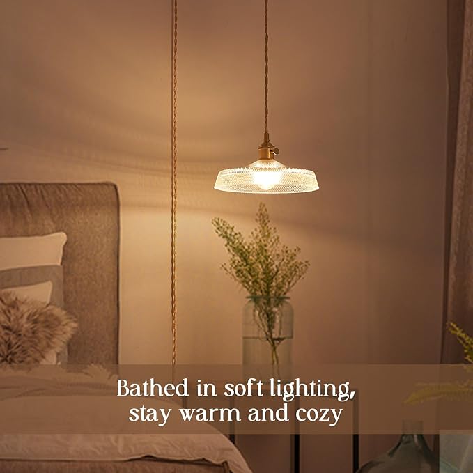 Plug in Pendant Light,9.1 Inch Glass Lampshade 14Ft Hanging Lights with Plug in Cord On/Off Switches Industrial Pendant Lights with Plug in Cord for Bedroom
