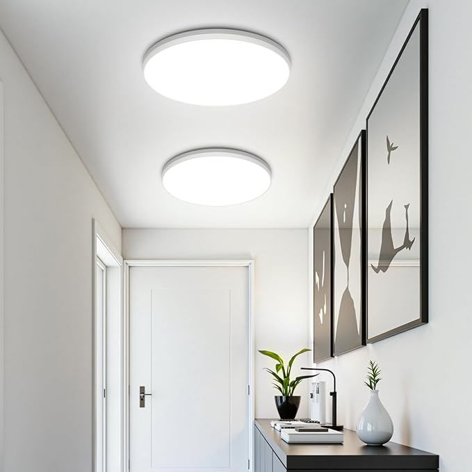 SunRider 12 Inch LED Flush Mount Ceiling Light Fixture with Night Light, 24W 2400LM 5000K Dimmable Round Borderless Ceiling Light for Bedroom Kitchen