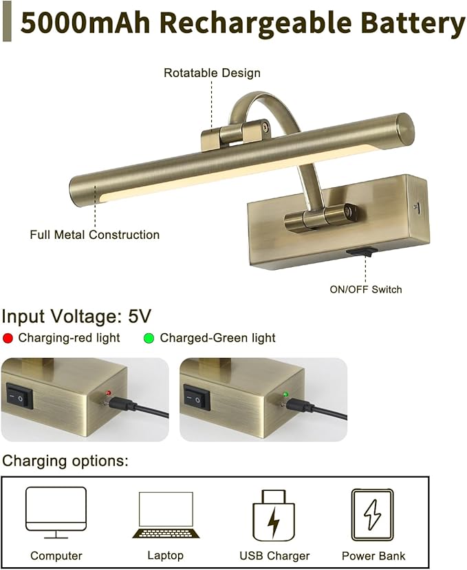 DESOOP Wireless Picture Lights Rechargeable Gallery Lighting Battery Picture Frame Light with Remote and Timer, Adjustable Art Light for Paintings, Portraits, Antique Bronze Finish 12'' Inch 2W 2700K