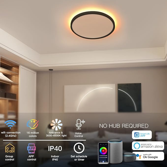 TALOYA 2 Pack Black Smart Ceiling Light Flush Mount LED WiFi, Compatible with Alexa Google Home, Dimmable Low Profile Ambient Light Fixture for Bedroom Living Room,12 Inch 24W