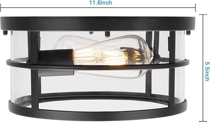 Darkaway Flush Mount Ceiling Light, 11.6 Inch Industrial Ceiling Light Fixture Outdoor Indoor Close to Ceiling with Clear Glass Shade for Hallway Balcony Porch Kitchen Living Room 2-Light
