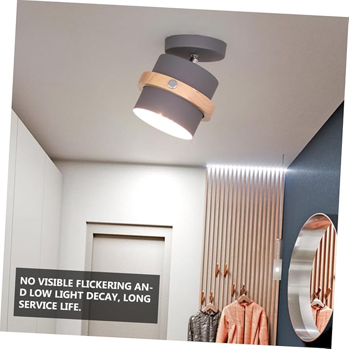 Ipetboom Minimalist LED Ceiling Lamp White Light Grey Finish Light Fixture for Hallway Dining Kitchen Living Areas