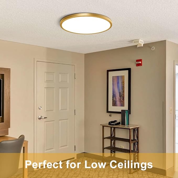 12 Inch Gold LED Ceiling Light Flush Mount, 5000K Daylight White Flat LED Ceiling Light, 24W 3200LM, Round Flat Gold Light Fixture for Bedroom, Kitchen, Hallway (2 Pack)