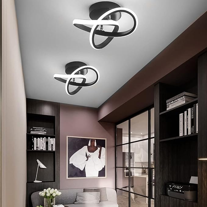 EIDISUNY Modern LED Ceiling Light, 2 Rings Creative Black Hallway Ceiling Lighting 6000K Flush Mount Ceiling Lights for Kitchen Bathroom Cool White Light 22W (Black)