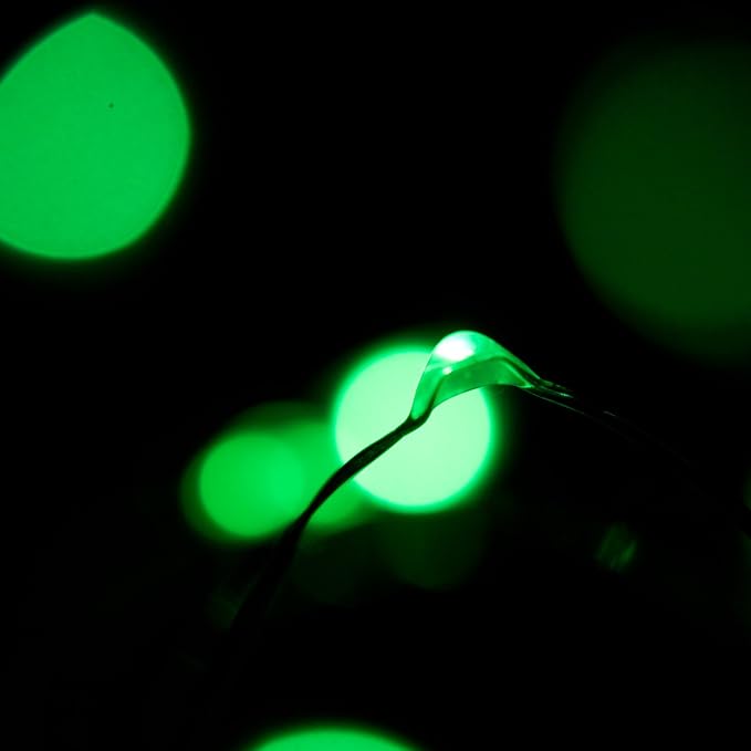 30 LED Wire Twinkle Fairy Lights, Battery Powered, Waterproof — Christmas, Holidays, Halloween, Wedding — Bedroom, Living Room — 9.5 Ft, Green, Indoor & Outdoor
