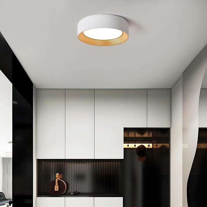 Dimmable Modern LED Flush Mount Ceiling Light,11.8 Inch 5CCT 24W/3000K-6000K,Minimalist Round White and Gold Close to Ceiling Lighting Fixtures for Kitchen,Hallway,Laundry Room,Entryway,Porch