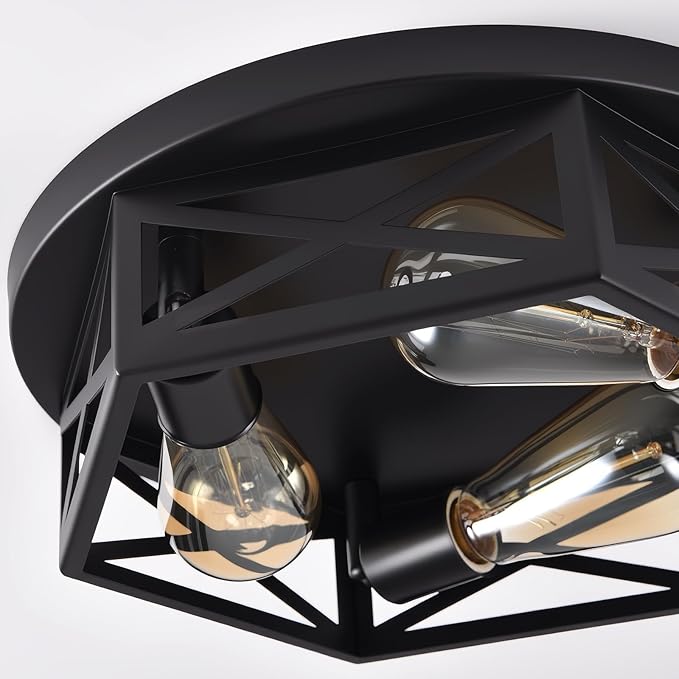 Black Flush Mount Ceiling Light,Hallway Light Ceiling Mount,Industrial Vintage Metal Cage Close to Ceiling Lights for Kitchen,Farmhouse,Bedroom