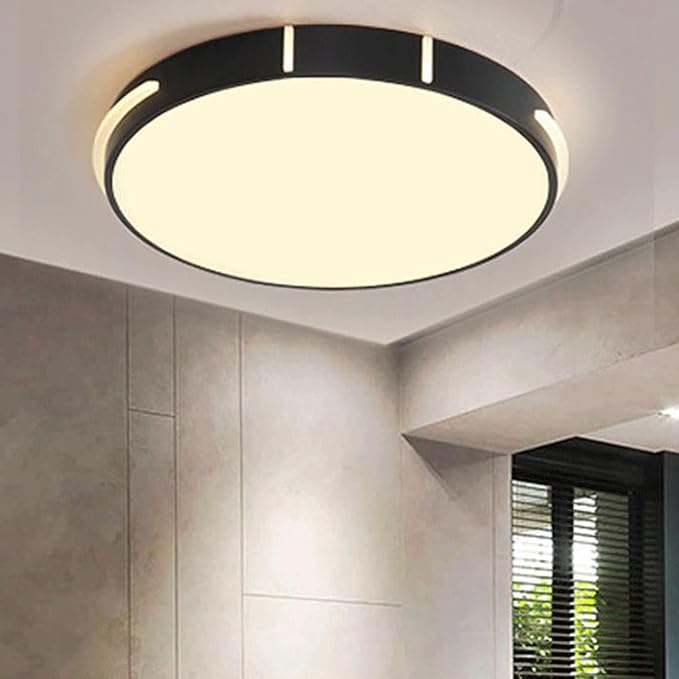 Modern Minimalist Ceiling Lamps Metal and Acrylic Flat Lighting Black and White Circular Ceiling Lights Suitable for Bedrooms and Study Rooms
