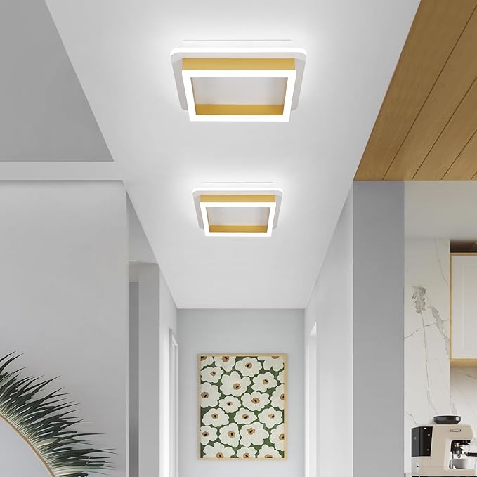 CANEOE 2 Packs Square Flush Mount Ceiling Light, 6000K Modern LED Ceiling Light Fixture, Minimalist Hallway Lighting Fixture Ceiling Lamp for Hallway Entryway Bedroom Balcony (Gold)