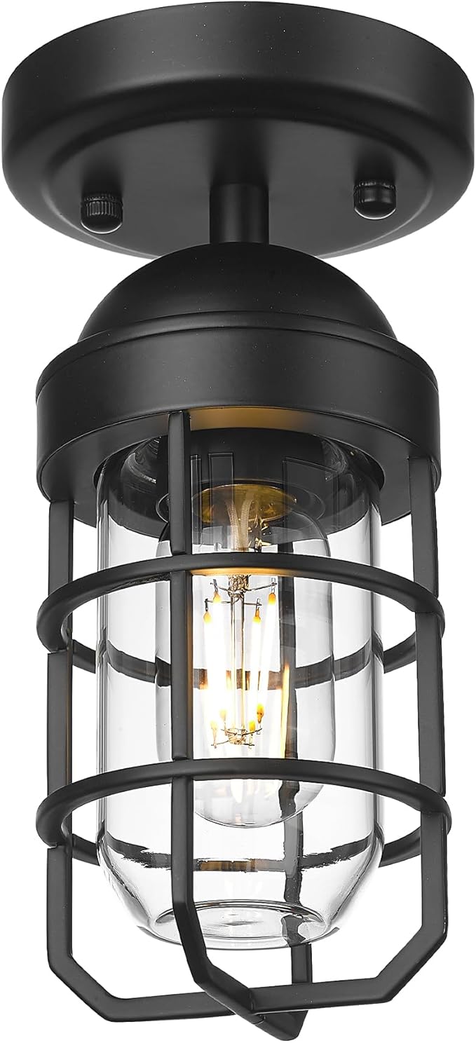 Emliviar Industrial Ceiling Light, Semi Flush Mount Lighting for Indoor, Clear Tempered Glass Shade in Black Finish, GE255F BK
