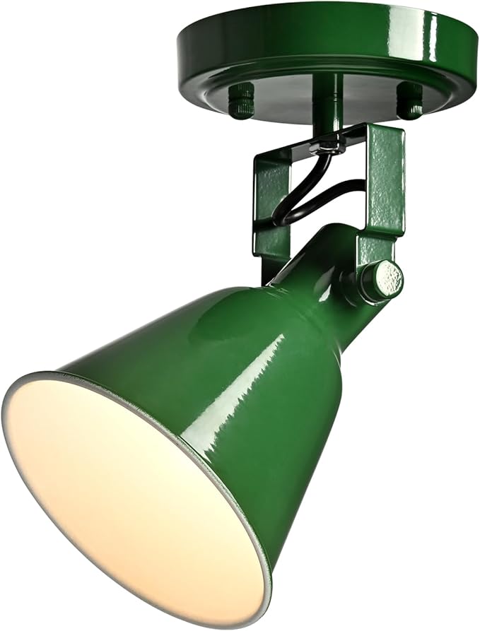 DIRYZON 1-Light Adjustable Green Spotlight, Semi Flush Mount Track Light Ceiling Light Fixture for Bedroom, Kitchen, Hallway & Wall Art Display