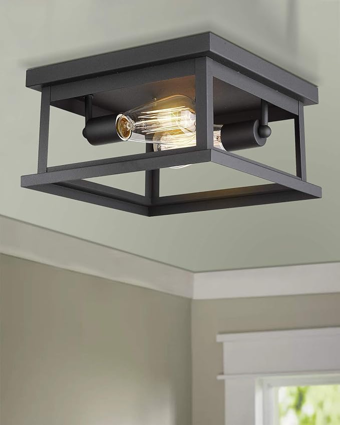 Emliviar Flush Mount Light Fixture, 2-Light 11-inch Ceiling Light in Black Finish, 1803EW1-F1 BK