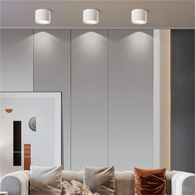 Round Ceiling Light Mid Century Modern Nordic Minimalist Downlight Small Close to Ceiling Lighting Fixture for Living Room Porch Balcony Aisle Corridor Home(White-12CM,White Light -6000k)