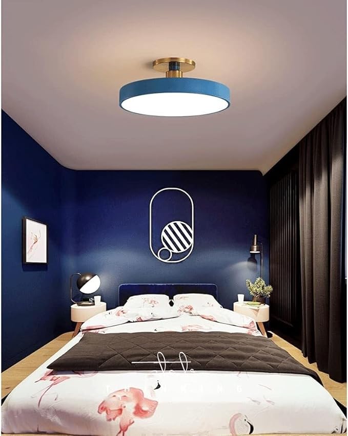 Flush Mount Ceiling Lamp LED Adjustable Tri-Color Light Ceiling Light Round Aisle Loft Restaurant Ceiling Light Fixture for Living Room Bedroom Dining Room Kitchen Study Room Corridor Chandelie