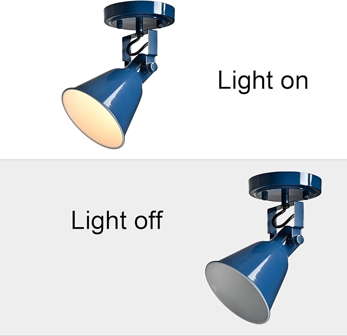 DIRYZON 1-Light Adjustable Blue Spotlight, Semi Flush Mount Track Light Ceiling Light Fixture for Bedroom, Kitchen, Hallway & Wall Art Display