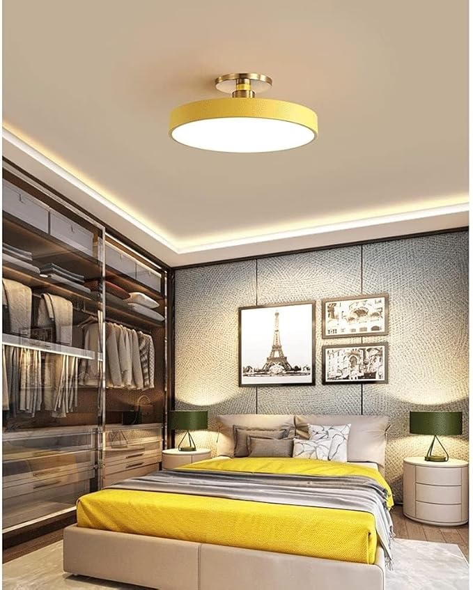Flush Mount Ceiling Lamp LED Adjustable Tri-Color Light Ceiling Light Round Aisle Loft Restaurant Ceiling Light Fixture for Living Room Bedroom Dining Room Kitchen Study Room Corridor Chandelie