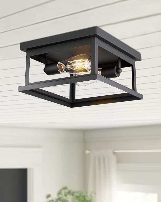 Emliviar Flush Mount Light Fixture, 2-Light 11-inch Ceiling Light in Black Finish, 1803EW1-F1 BK