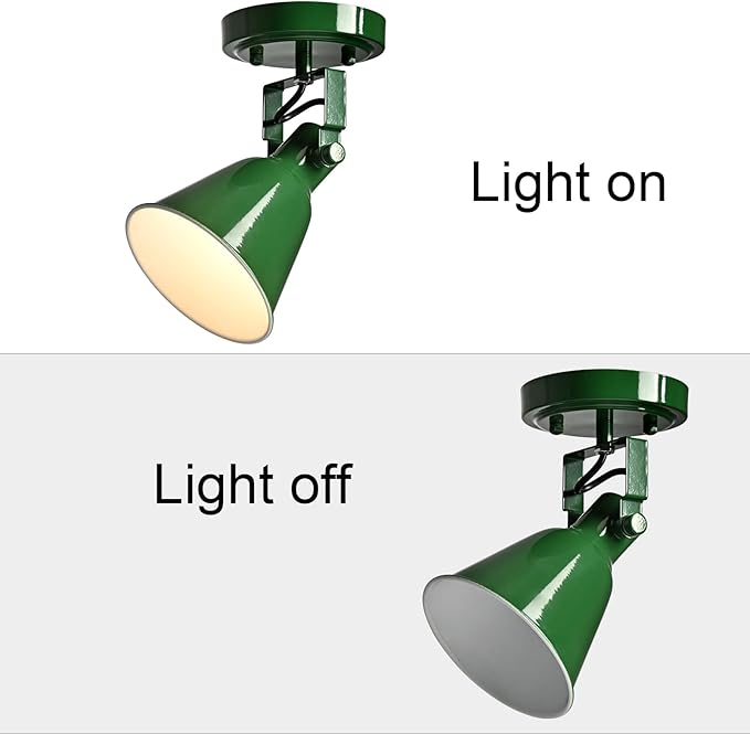 DIRYZON 1-Light Adjustable Green Spotlight, Semi Flush Mount Track Light Ceiling Light Fixture for Bedroom, Kitchen, Hallway & Wall Art Display