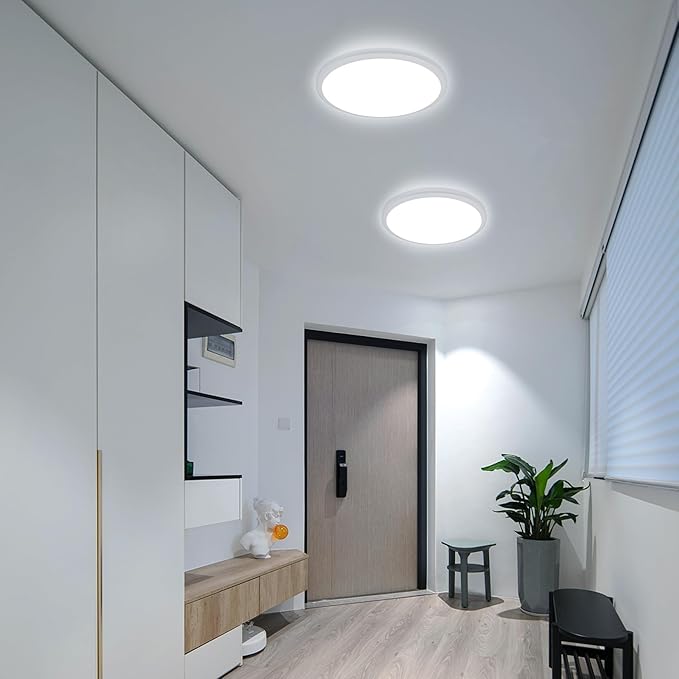 6 Pack 12 Inch Round LED Ceiling Light Fixture, 6500K Daylight Outdoor/Indoor Ceiling Light Fixture, 24W IP54 Waterproof Flat Round White Ceiling Lamp for Living Room Laundry Bedroom Hallway