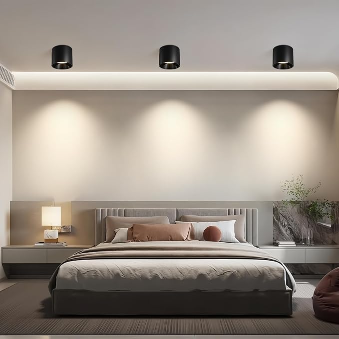 Flush Mount LED Ceiling Light Fixture, 20W Dimmable & 3000K/4000K/6000K Adjustable Ceiling Lights, Modern Close to Ceiling Lamps for Closet, Hallway, Kitchen, Entryway, Living Room, 4.7 Inch, Black