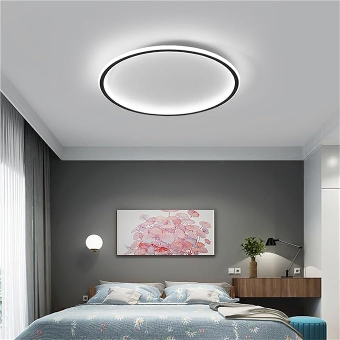 Flush Mount Ceiling Light Modern Nordic Ultra Thin Round Design Dimmable Acrylic Shade Iron Body Minimalist Lighting Fixture for Kitchen Bedroom or Living Room(Black,30CM)