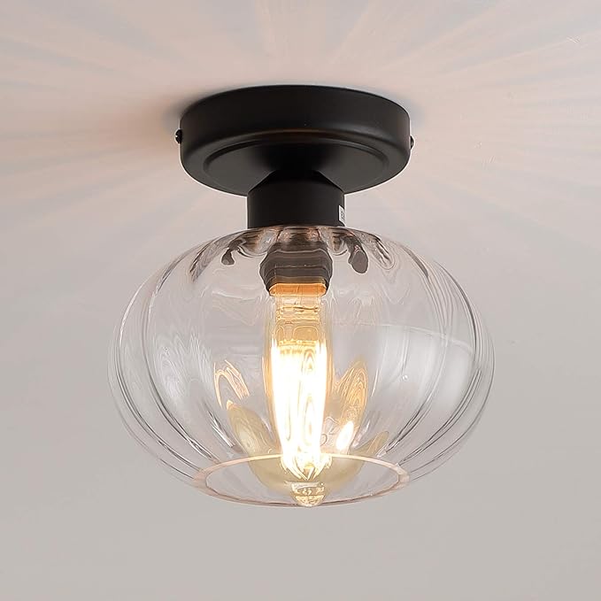 Fivess Lighting Industrial Glass Flush Mount Light Fixture Clear Glass Shade Rustic Semi Flush Mount Ceiling Light for Hallway Entryway Kitchen Farmhouse, Black