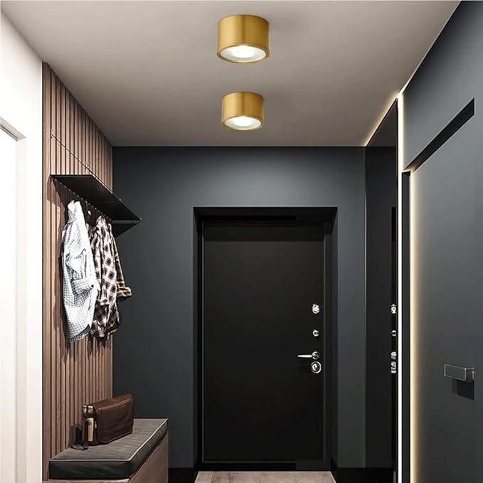 Modern Brass LED Ceiling Light Nordic Indoor Ceiling Lamp Cylindrical Shape Flush Mount Ceiling Lamp for Bedroom Hallway Kitchen Entryway(Large)